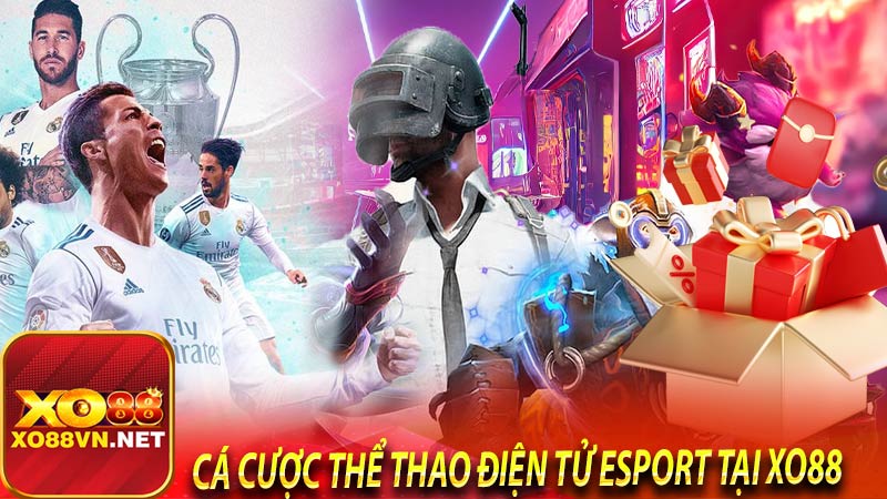 Nhà cái Xo88 Chyên cá cược esport