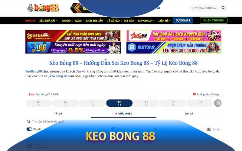 Keo bong 88