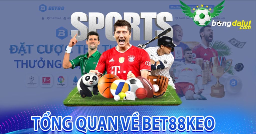 Tổng quan về Bet88keo