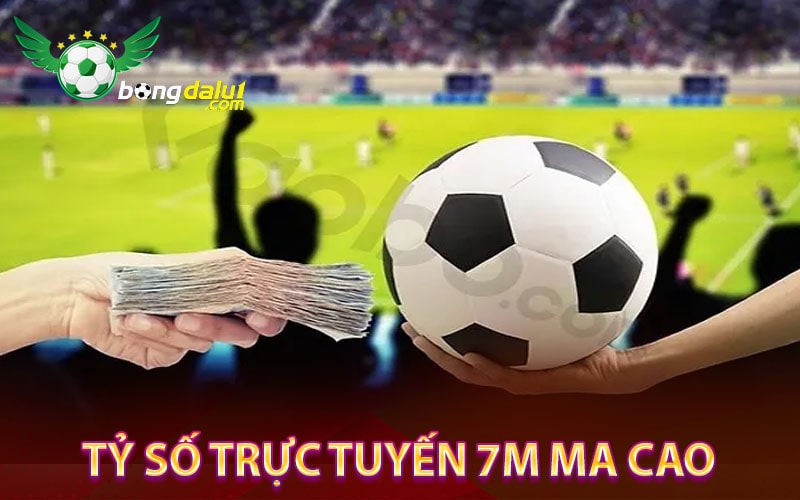 Tỷ số trực tuyến 7m ma cao