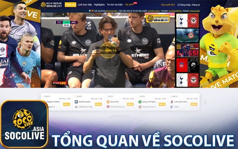 Tổng quan về socolive 