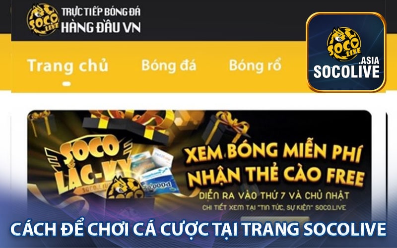 Cách để chơi cá cược tại trang socolive