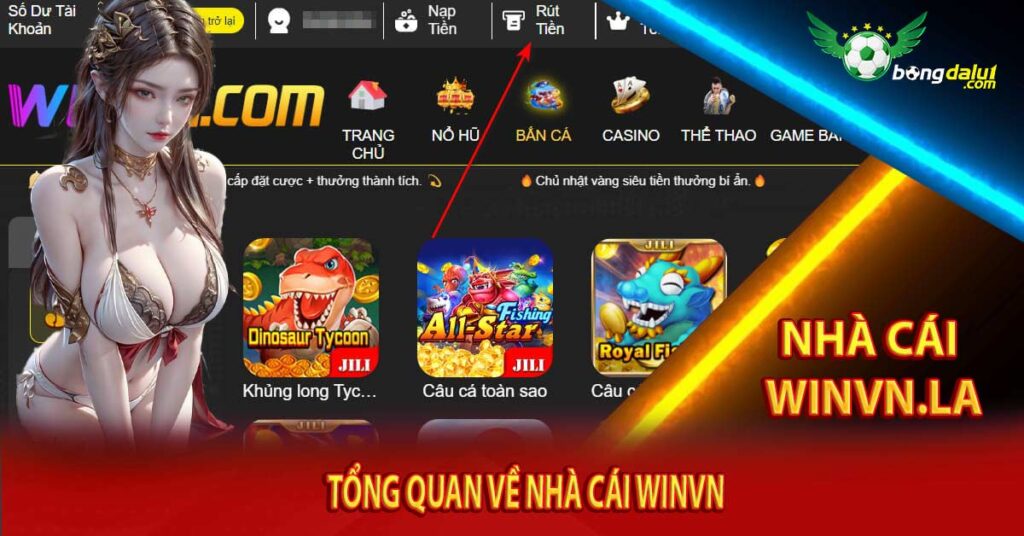 Tổng quan về nhà cái Winvn