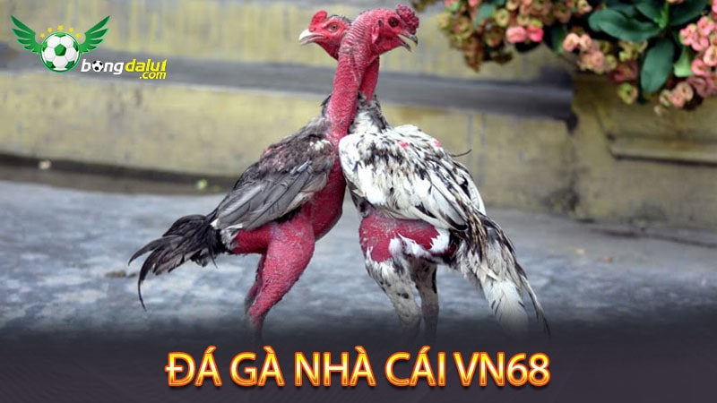 Hướng dẫn tham gia đá gad tại VN68