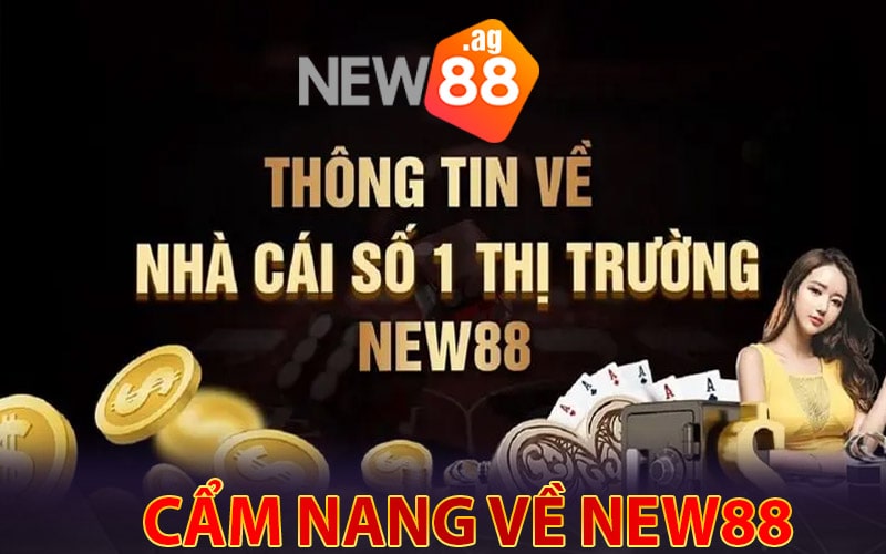 Cẩm nang vài nét về sân chơi New88 