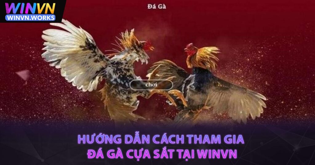 Hướng dẫn cách tham gia đá gà cựa sắt tại WINVN