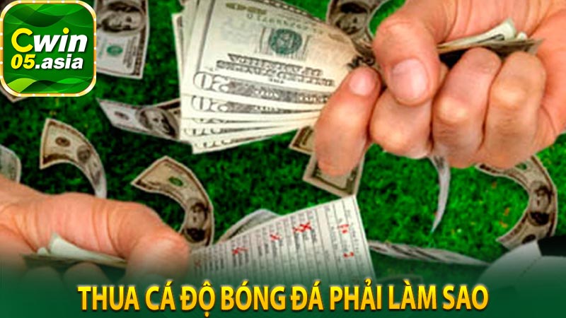 Thua Cá Độ Bóng Đá Phải Làm Sao