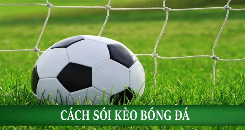 Tổng quan về soi kèo bóng đá