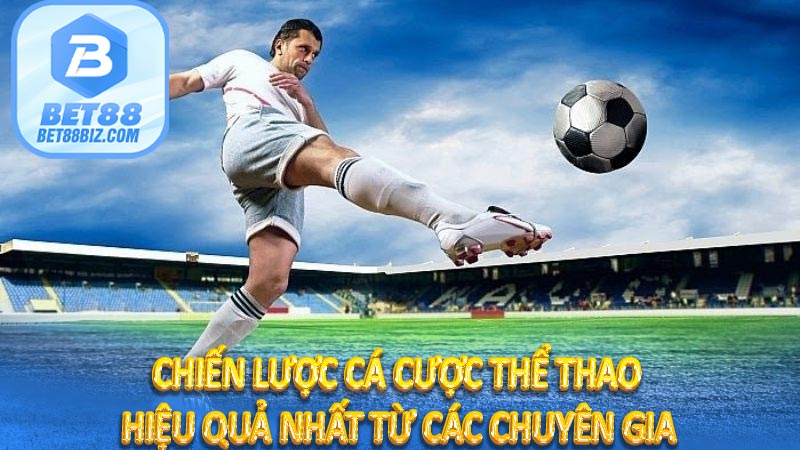 Chiến Lược Cá Cược Thể Thao Hiệu Quả Nhất Từ Các Chuyên Gia