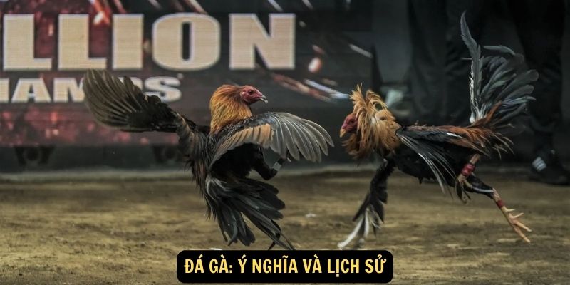 Đá Gà: Ý nghĩa và lịch sử